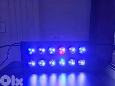 aquarium saltwater  led light