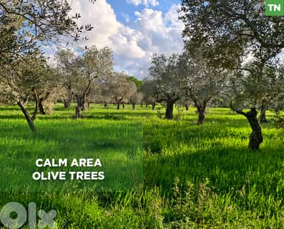 Calm Location, Beshmezzine - Koura/ بشمزين – الكورة REF#TN135333