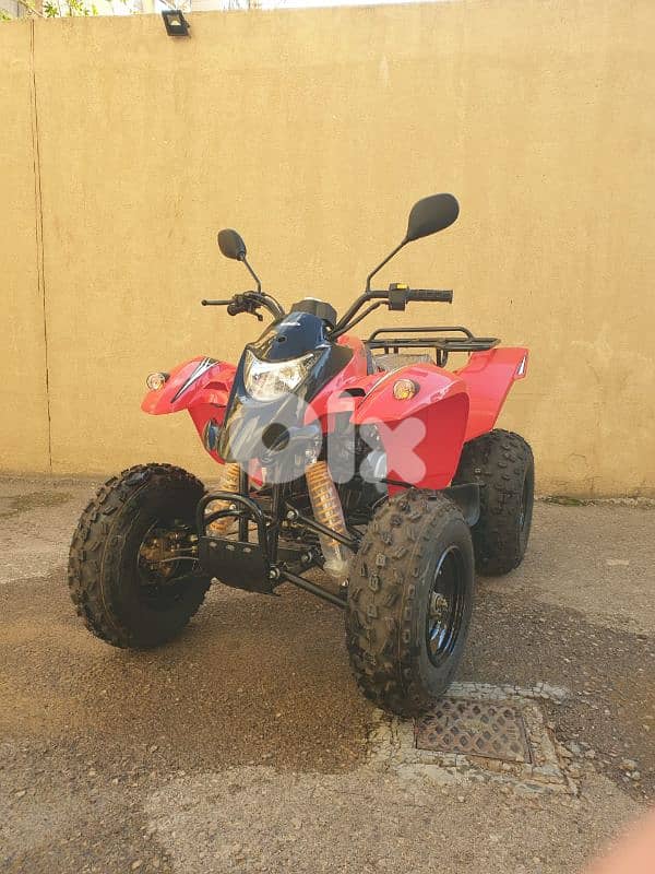 ATV NEW 3
