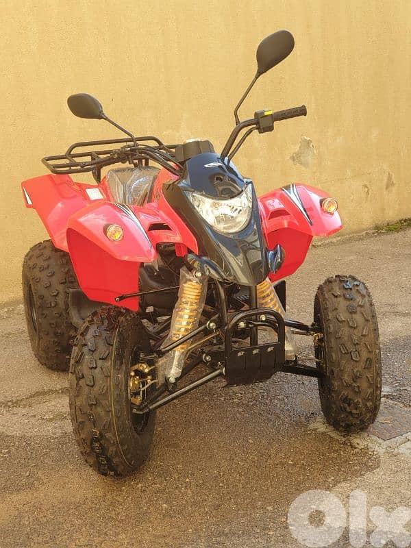 ATV NEW 6