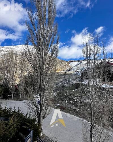 110 SQM Fully Furnished Duplex In Faraya with Gated community