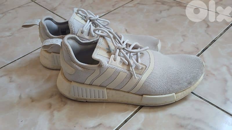 Adidas shoes 1