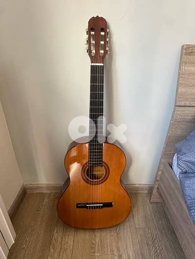 Guitar Fiesta by Linko