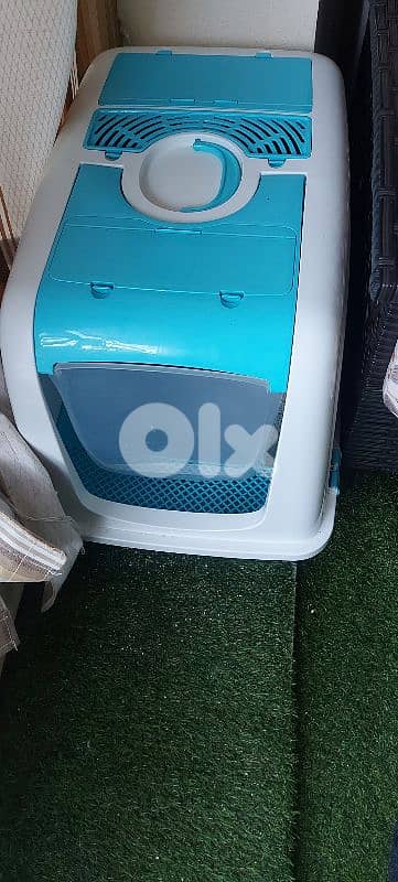 Hot offer. persion britch ,moderm/ longhair / Gib قط مخصي. /بداعي سفر 6