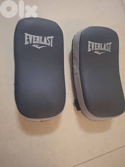 Muay thai pads and gloves