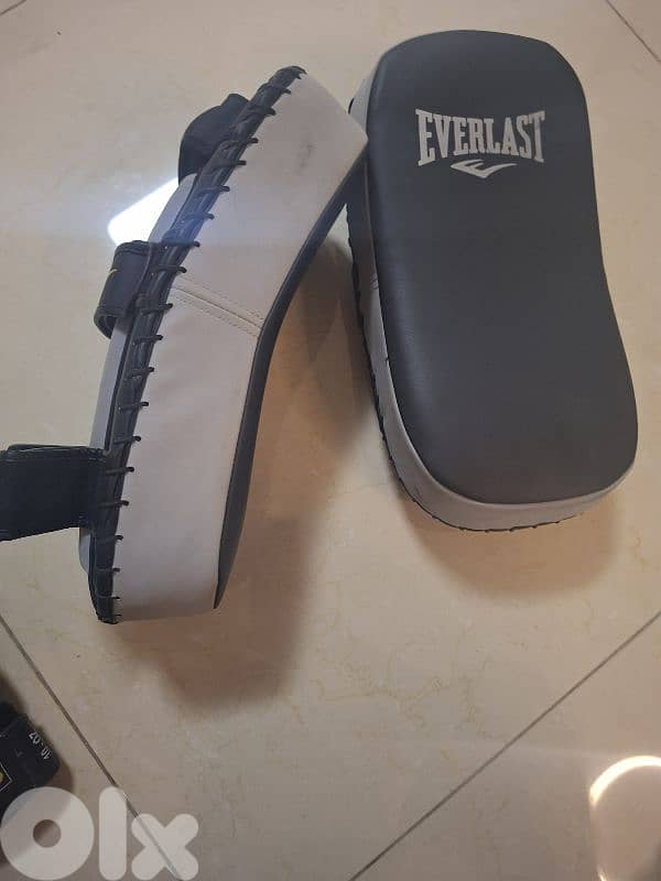 Muay thai pads and gloves 1