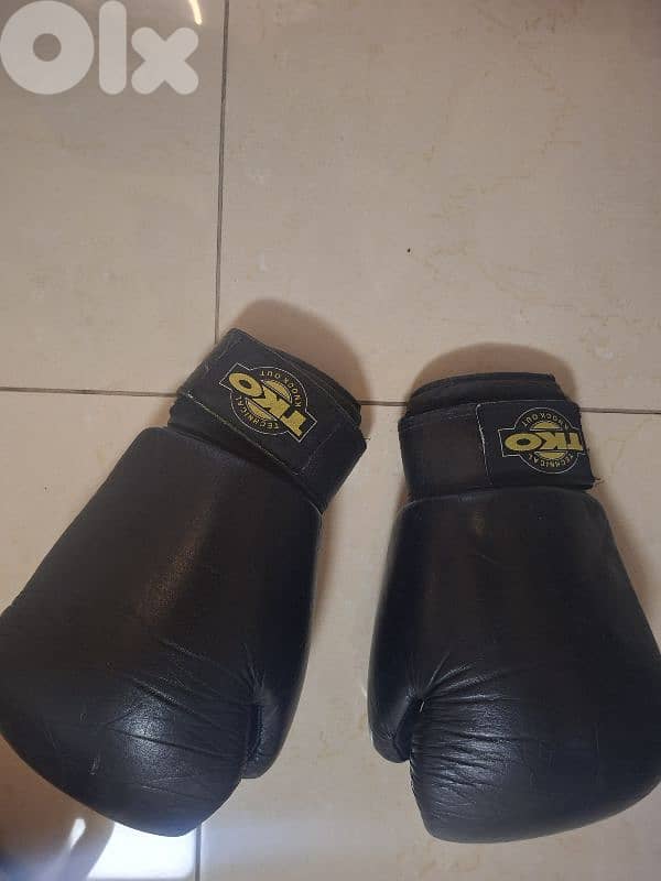 Muay thai pads and gloves 2