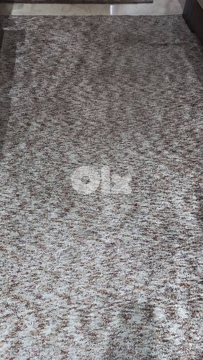 carpet