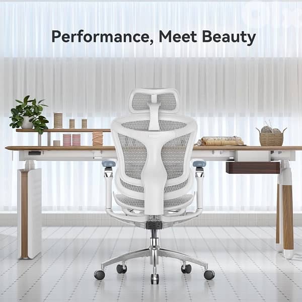 SIHOO chair 6D armrests 2