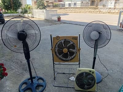 مرواح عدد٤  جيدين