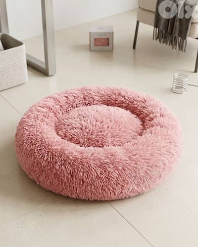 dog bed