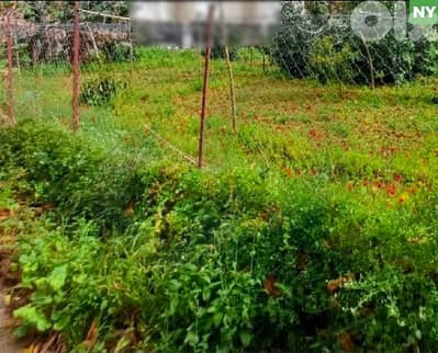 rare investment opportunity, prime area, Antelias/أنطلياس REF#NY135397