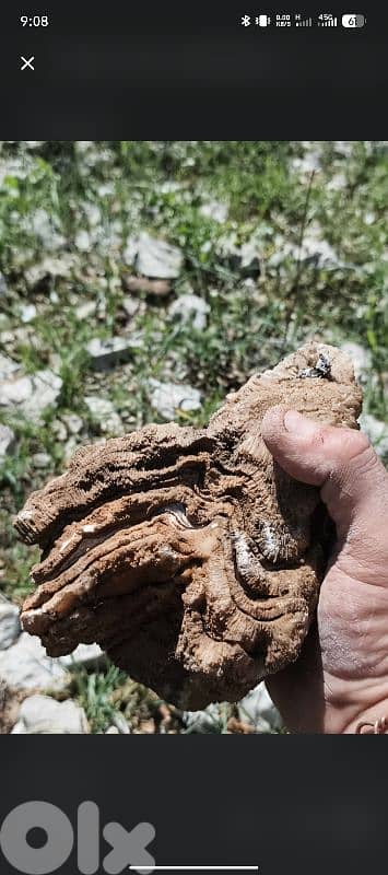 Layered Banded Calcite