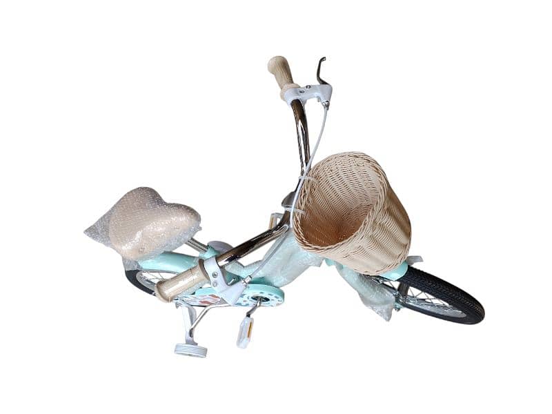 16 inch bicycle 2