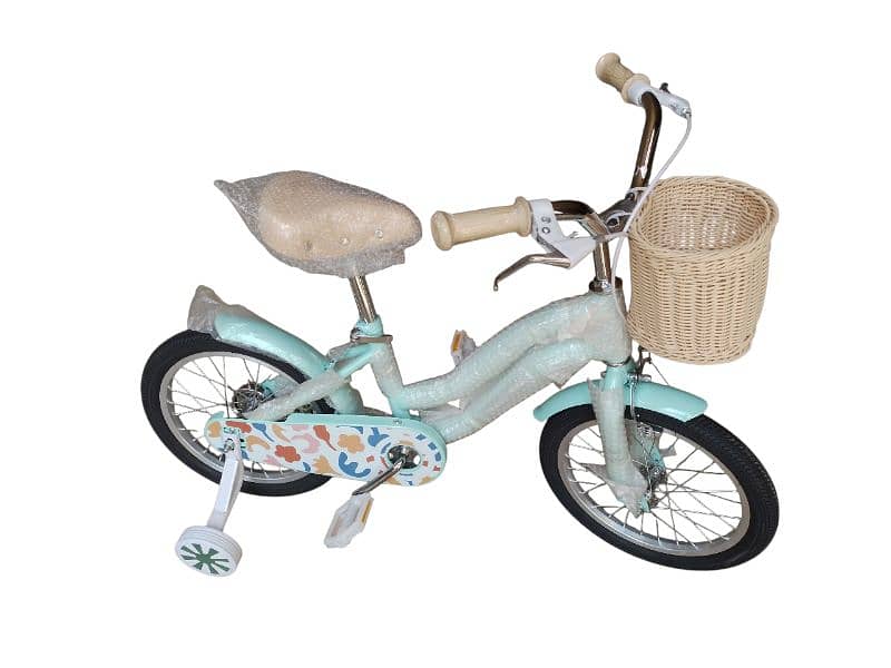 16 inch bicycle 3