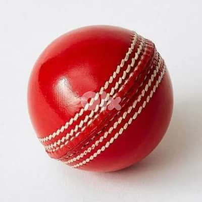 Cricket Ball