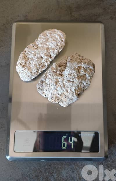 ambergris عنبر حوت