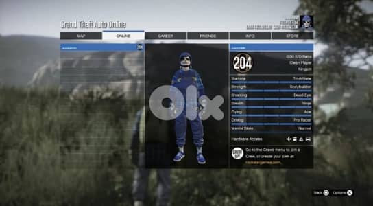 High-Level Gaming Profile