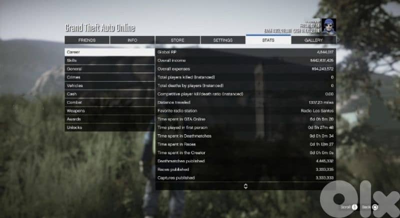 High-Level Gaming Profile 1