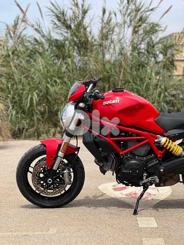 Ducati 797 Monster ODO 5000km 4
