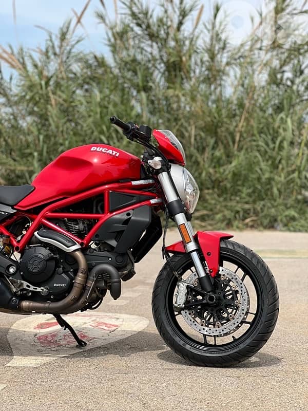 Ducati 797 Monster ODO 5000km 6