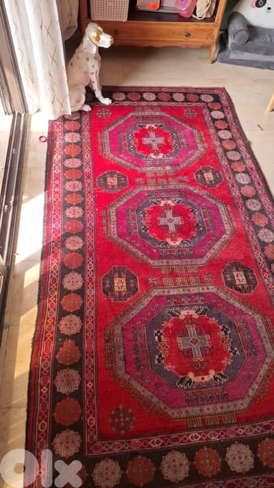 stunning carpet 127x240