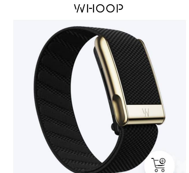 Whoop Life  MG Bands 2