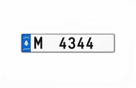 VIP PLATE NUMBER