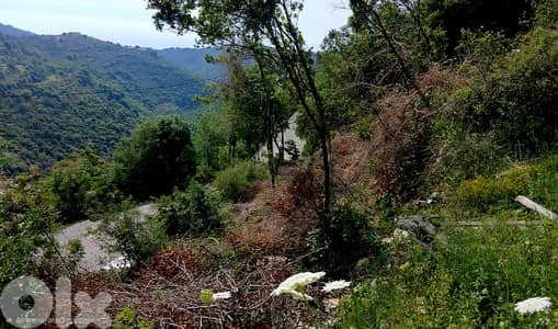 Land for sale in Kfoun , main road