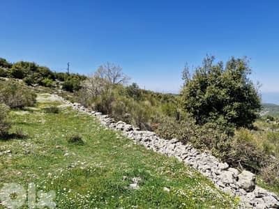 Land for sale in Mechmech