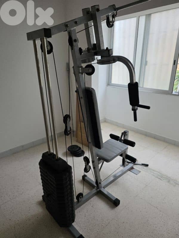 gym equipment 1