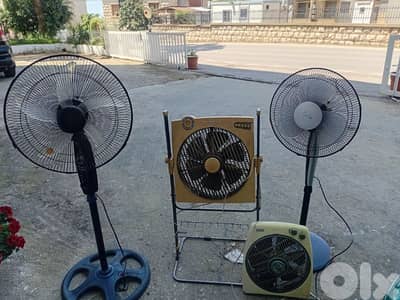 مراوح اوروبي جيدين