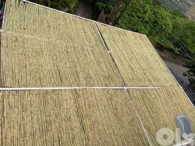 BAMBOO FOR SALE IN BEIRUT