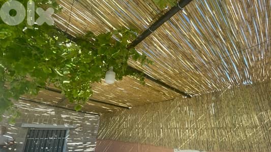 أصب للبيع في بيروت