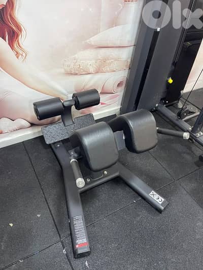 Back extension  best quality