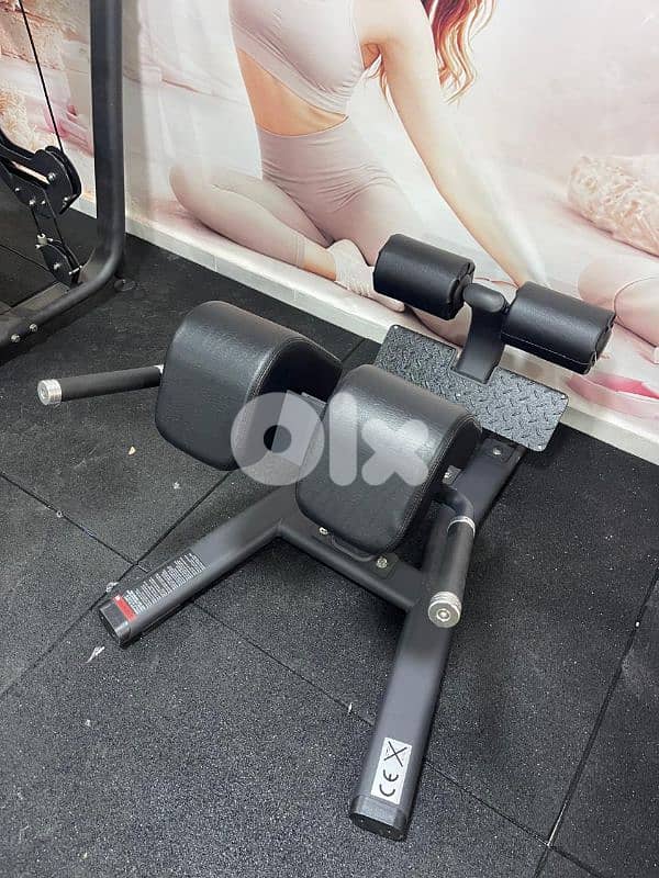 Back extension  best quality 1