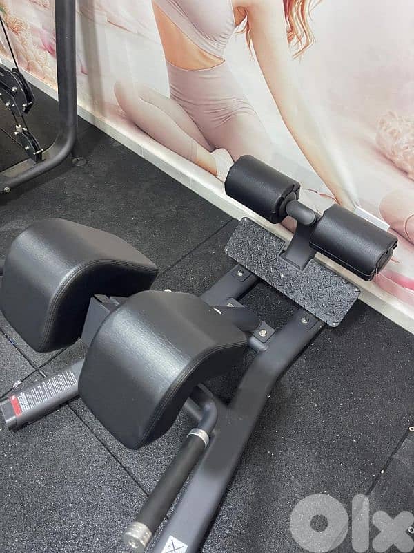 Back extension  best quality 2