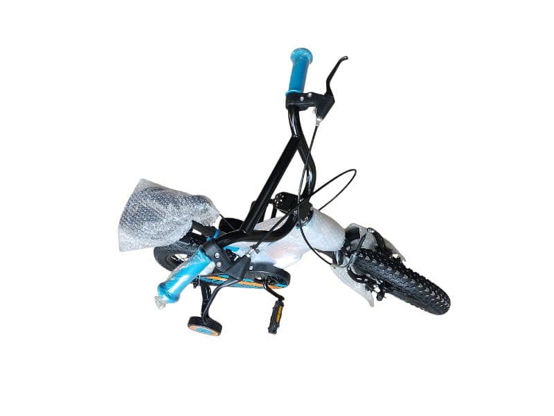 12 inch bicycle 2