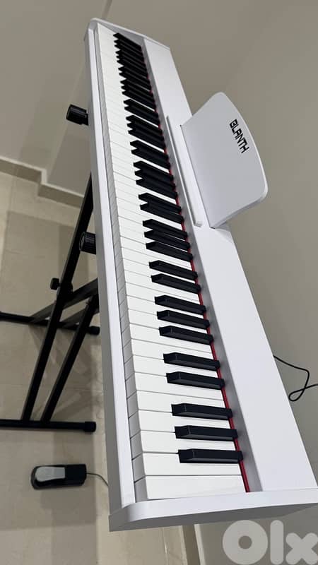 7 octaves Keyboard + FREE stand+ FREE PEDAL 2