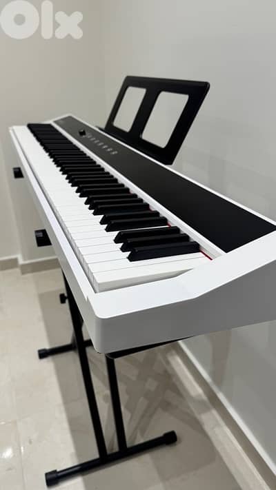 Elite Piano Performance