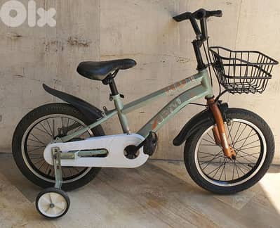 kids bike size 16"