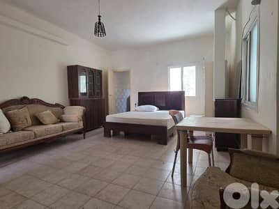 Large furnished room for rent