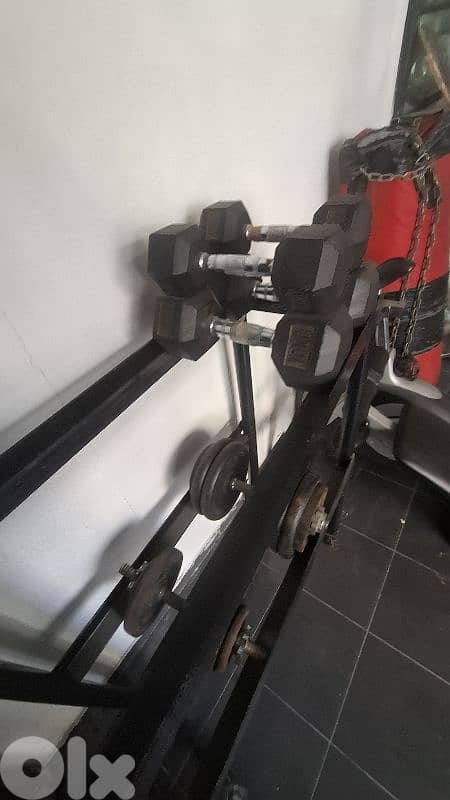 bench plus ajustable bench ,dumbells,and axes. . . 1