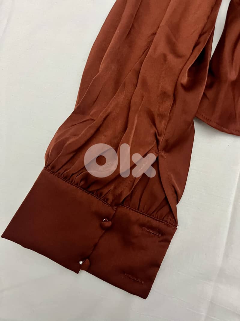 Rust Silky-Look Ruched Blouse 4