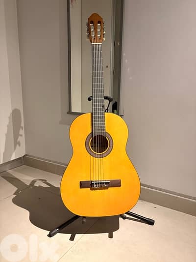 Stegg Classical Guitar Perfect Condition!