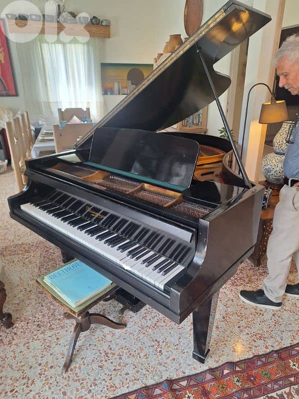 piano steinmayer baby grand Germany tuning warranty 2