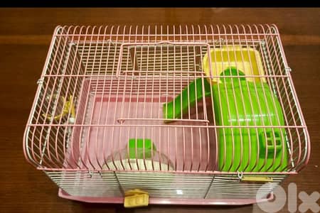 2همستر سوري+قفص+كيس اكل+كيس نشاره