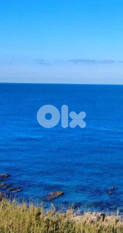 Land on the Beach أرض على شاطيء البحر