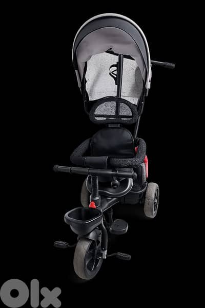 Kids Tricycle with Canopy