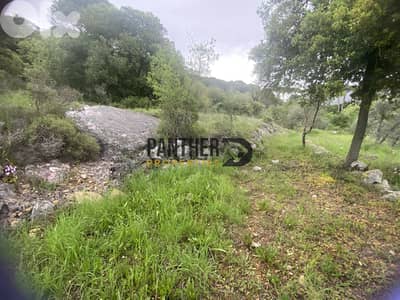 Prime Land for Sale in Aarabaniyeh - natural water spring Ref#BK133